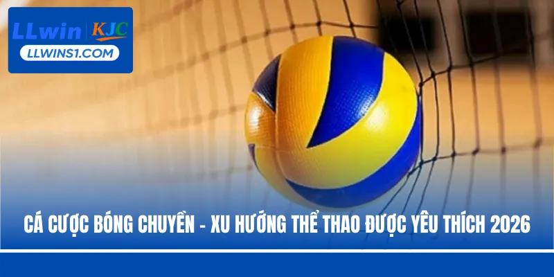 Cá cược bóng chuyền