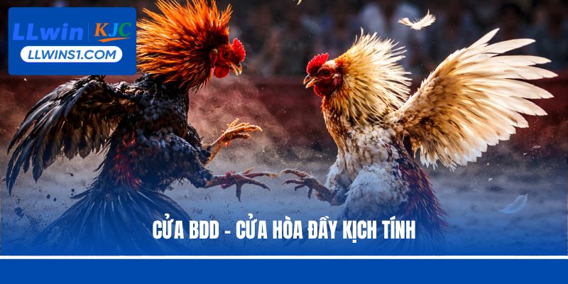 Cửa BDD – Cửa hòa đầy kịch tính