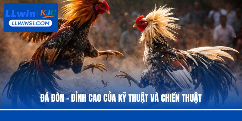 Đá đòn – Đỉnh cao của kỹ thuật và chiến thuật