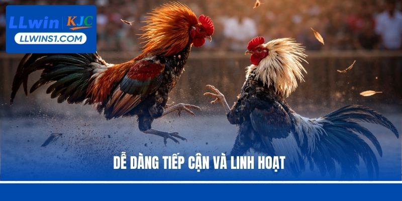 Dễ dàng tiếp cận và linh hoạt 