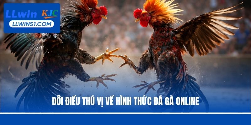 Đôi điều thú vị về hình thức đá gà online