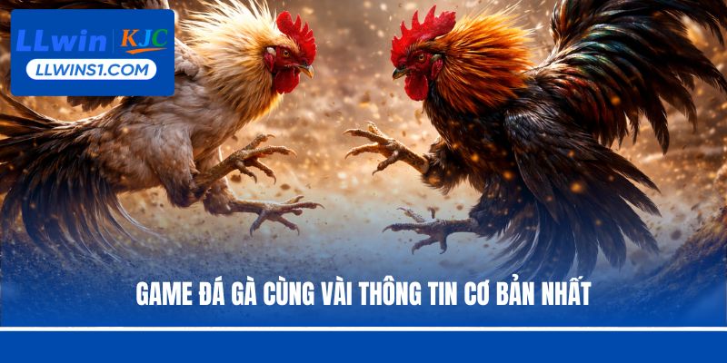 Game đá gà cùng vài thông tin cơ bản nhất