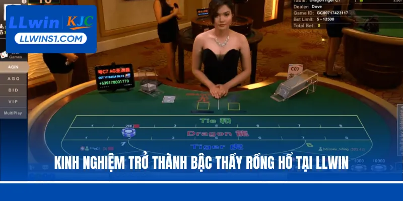 Kinh nghiệm trở thành bậc thầy Rồng Hổ tại LLwin