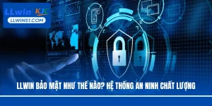 LLwin bảo mật như thế nào