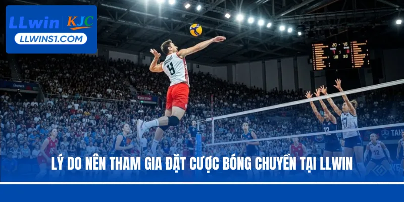 Lý do nên tham gia đặt cược bóng chuyền tại LLwin