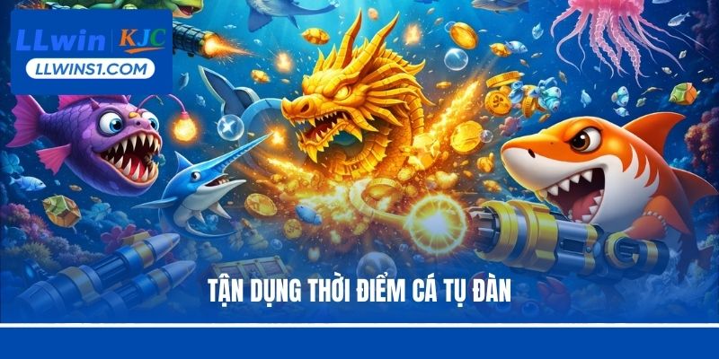 Tận dụng thời điểm cá tụ đàn