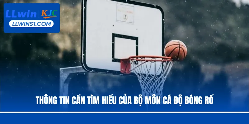 Thông tin cần tìm hiểu của bộ môn cá độ bóng rổ