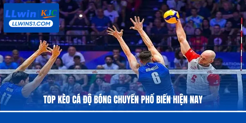 Top kèo cá độ bóng chuyền phổ biến hiện nay