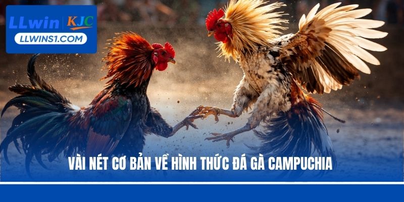Vài nét cơ bản về hình thức đá gà Campuchia 
